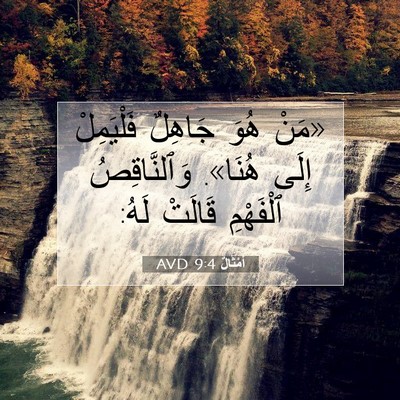 Picture 07 - أَمْثَالٌ 9:4 AVD - «مَنْ هُوَ جَاهِلٌ - Bible Verse Picture