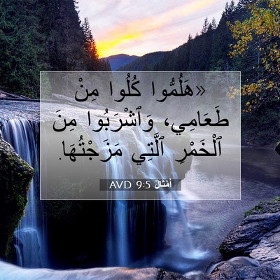 Picture 07 - أَمْثَالٌ 9:5 AVD - «هَلُمُّوا كُلُوا مِنْ - Bible Verse Picture
