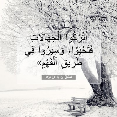 Picture 07 - أَمْثَالٌ 9:6 AVD - اُتْرُكُوا ٱلْجَهَالَاتِ - Bible Verse Picture