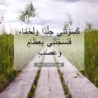 Picture 07 - أَيُّوبَ 10:11 AVD - كَسَوْتَنِي جِلْدًا - Bible Verse Picture