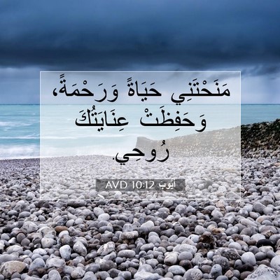 Picture 07 - أَيُّوبَ 10:12 AVD - مَنَحْتَنِي حَيَاةً - Bible Verse Picture