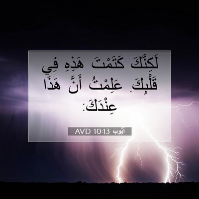 Picture 07 - أَيُّوبَ 10:13 AVD - لَكِنَّكَ كَتَمْتَ هَذِهِ - Bible Verse Picture