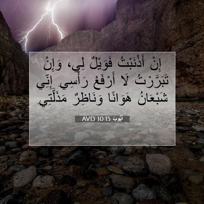 Picture 07 - أَيُّوبَ 10:15 AVD - إِنْ أَذْنَبْتُ فَوَيْلٌ - Bible Verse Picture