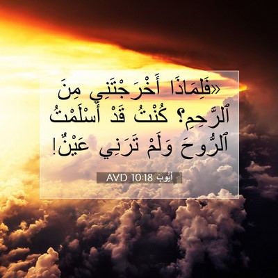 Picture 07 - أَيُّوبَ 10:18 AVD - «فَلِمَاذَا أَخْرَجْتَنِي - Bible Verse Picture