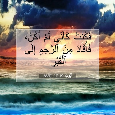 Picture 07 - أَيُّوبَ 10:19 AVD - فَكُنْتُ كَأَنِّي لَمْ - Bible Verse Picture