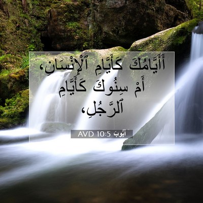 Picture 07 - أَيُّوبَ 10:5 AVD - أَأَيَّامُكَ كَأَيَّامِ - Bible Verse Picture
