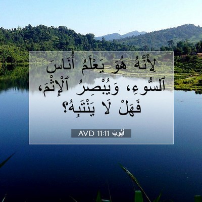 Picture 07 - أَيُّوبَ 11:11 AVD - لِأَنَّهُ هُوَ يَعْلَمُ - Bible Verse Picture