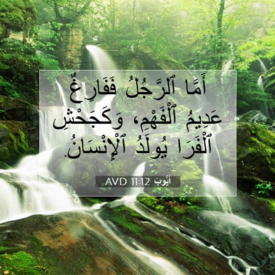 Picture 07 - أَيُّوبَ 11:12 AVD - أَمَّا ٱلرَّجُلُ - Bible Verse Picture