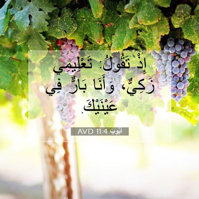 Picture 07 - أَيُّوبَ 11:4 AVD - إِذْ تَقُولُ: تَعْلِيمِي - Bible Verse Picture