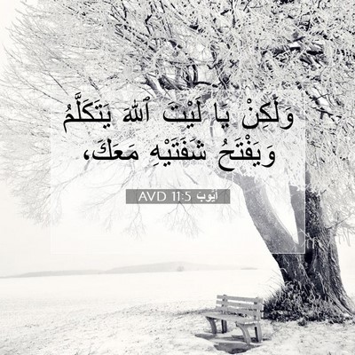 Picture 07 - أَيُّوبَ 11:5 AVD - وَلَكِنْ يَا لَيْتَ ٱللهَ - Bible Verse Picture