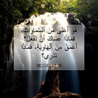 Picture 07 - أَيُّوبَ 11:8 AVD - هُوَ أَعْلَى مِنَ - Bible Verse Picture