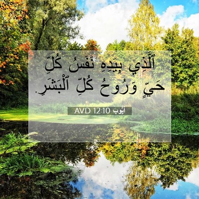 Picture 07 - أَيُّوبَ 12:10 AVD - ٱلَّذِي بِيَدِهِ نَفَسُ - Bible Verse Picture