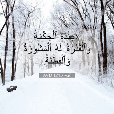 Picture 07 - أَيُّوبَ 12:13 AVD - «عِنْدَهُ ٱلْحِكْمَةُ - Bible Verse Picture