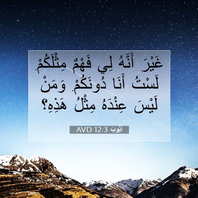 Picture 07 - أَيُّوبَ 12:3 AVD - غَيْرَ أَنَّهُ لِي فَهْمٌ - Bible Verse Picture