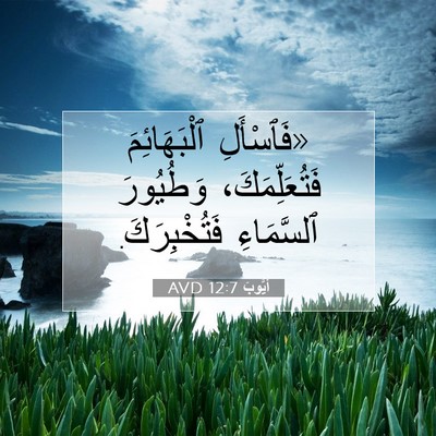 Picture 07 - أَيُّوبَ 12:7 AVD - «فَٱسْأَلِ ٱلْبَهَائِمَ - Bible Verse Picture