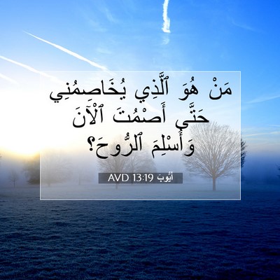Picture 07 - أَيُّوبَ 13:19 AVD - مَنْ هُوَ ٱلَّذِي - Bible Verse Picture