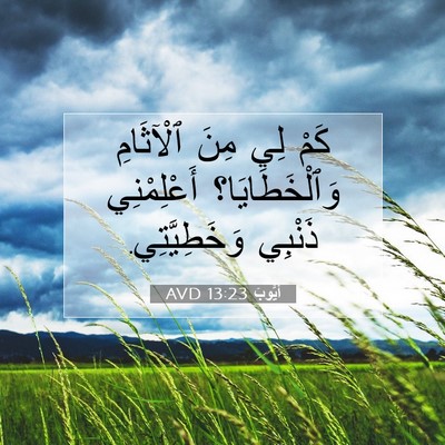 Picture 07 - أَيُّوبَ 13:23 AVD - كَمْ لِي مِنَ ٱلْآثَامِ - Bible Verse Picture