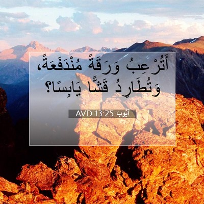Picture 07 - أَيُّوبَ 13:25 AVD - أَتُرْعِبُ وَرَقَةً - Bible Verse Picture