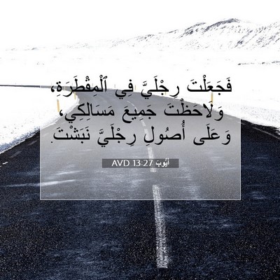 Picture 07 - أَيُّوبَ 13:27 AVD - فَجَعَلْتَ رِجْلَيَّ فِي - Bible Verse Picture