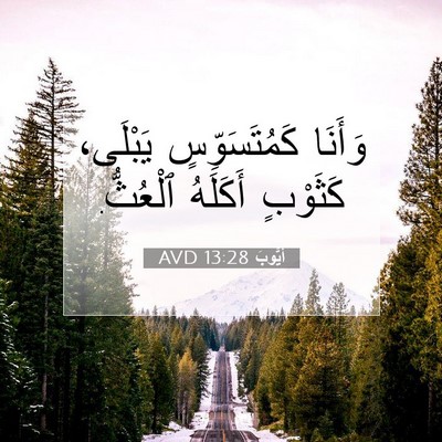 Picture 07 - أَيُّوبَ 13:28 AVD - وَأَنَا كَمُتَسَوِّسٍ - Bible Verse Picture