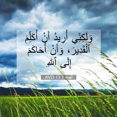 Picture 07 - أَيُّوبَ 13:3 AVD - وَلَكِنِّي أُرِيدُ أَنْ - Bible Verse Picture