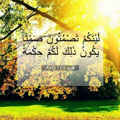 Picture 07 - أَيُّوبَ 13:5 AVD - لَيْتَكُمْ تَصْمُتُونَ - Bible Verse Picture