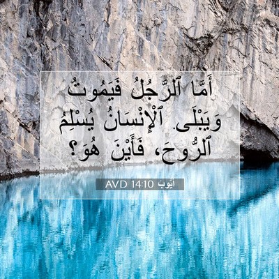 Picture 07 - أَيُّوبَ 14:10 AVD - أَمَّا ٱلرَّجُلُ - Bible Verse Picture