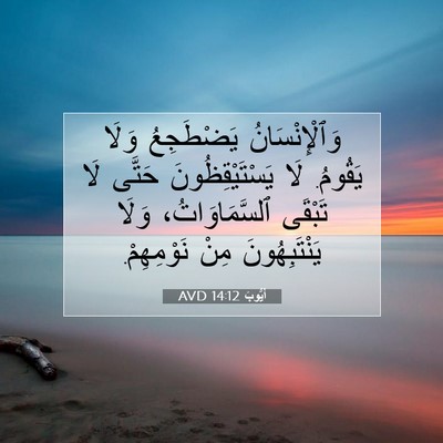 Picture 07 - أَيُّوبَ 14:12 AVD - وَٱلْإِنْسَانُ يَضْطَجِعُ - Bible Verse Picture