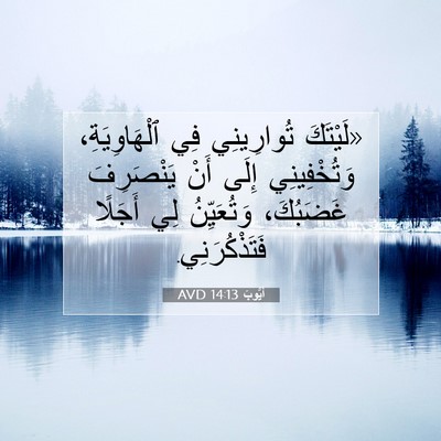 Picture 07 - أَيُّوبَ 14:13 AVD - «لَيْتَكَ تُوارِينِي فِي - Bible Verse Picture