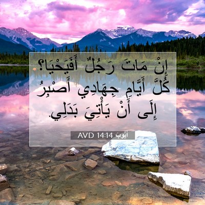 Picture 07 - أَيُّوبَ 14:14 AVD - إِنْ مَاتَ رَجُلٌ - Bible Verse Picture
