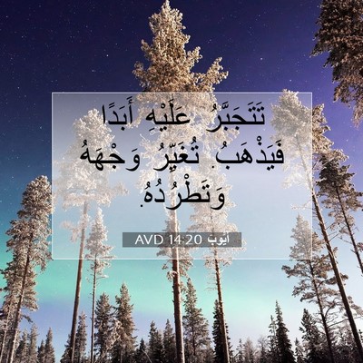 Picture 07 - أَيُّوبَ 14:20 AVD - تَتَجَبَّرُ عَلَيْهِ - Bible Verse Picture