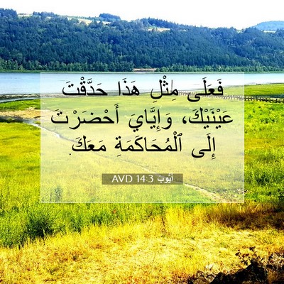 Picture 07 - أَيُّوبَ 14:3 AVD - فَعَلَى مِثْلِ هَذَا - Bible Verse Picture