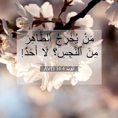 Picture 07 - أَيُّوبَ 14:4 AVD - مَنْ يُخْرِجُ ٱلطَّاهِرَ - Bible Verse Picture