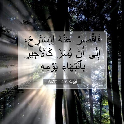 Picture 07 - أَيُّوبَ 14:6 AVD - فَأَقْصِرْ عَنْهُ - Bible Verse Picture