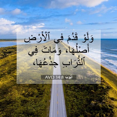 Picture 07 - أَيُّوبَ 14:8 AVD - وَلَوْ قَدُمَ فِي - Bible Verse Picture