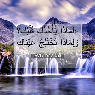 Picture 07 - أَيُّوبَ 15:12 AVD - «لِمَاذَا يَأْخُذُكَ - Bible Verse Picture
