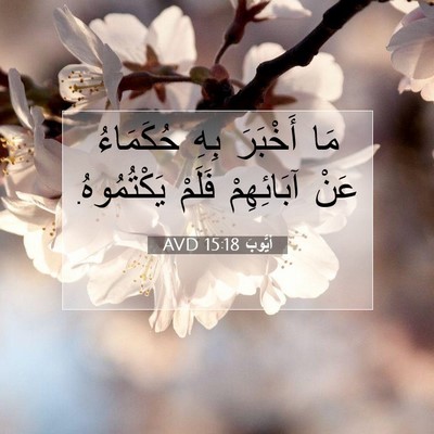 Picture 07 - أَيُّوبَ 15:18 AVD - مَا أَخْبَرَ بِهِ - Bible Verse Picture