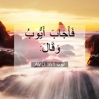 Picture 07 - أَيُّوبَ 16:1 AVD - فَأَجَابَ أَيُّوبُ - Bible Verse Picture