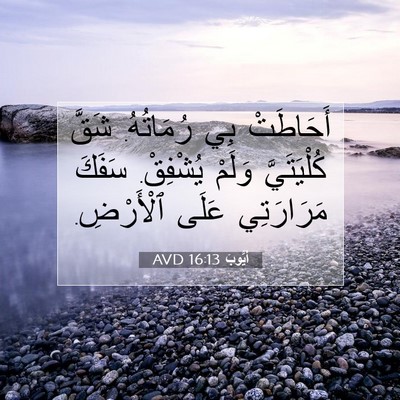 Picture 07 - أَيُّوبَ 16:13 AVD - أَحَاطَتْ بِي رُمَاتُهُ. - Bible Verse Picture