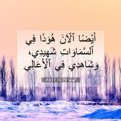 Picture 07 - أَيُّوبَ 16:19 AVD - أَيْضًا ٱلْآنَ هُوَذَا فِي - Bible Verse Picture