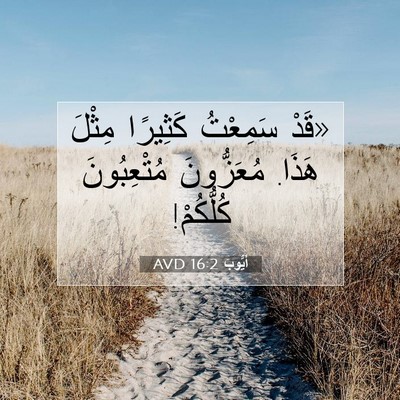 Picture 07 - أَيُّوبَ 16:2 AVD - «قَدْ سَمِعْتُ كَثِيرًا - Bible Verse Picture