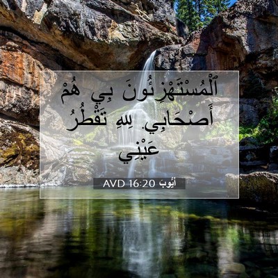 Picture 07 - أَيُّوبَ 16:20 AVD - ٱلْمُسْتَهْزِئُونَ بِي - Bible Verse Picture
