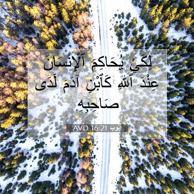 Picture 07 - أَيُّوبَ 16:21 AVD - لِكَيْ يُحَاكِمَ - Bible Verse Picture