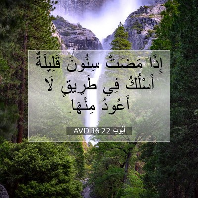 Picture 07 - أَيُّوبَ 16:22 AVD - إِذَا مَضَتْ سِنُونَ - Bible Verse Picture