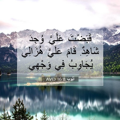 Picture 07 - أَيُّوبَ 16:8 AVD - قَبَضْتَ عَلَيَّ. وُجِدَ - Bible Verse Picture