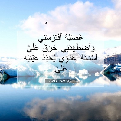 Picture 07 - أَيُّوبَ 16:9 AVD - غَضَبُهُ ٱفْتَرَسَنِي - Bible Verse Picture