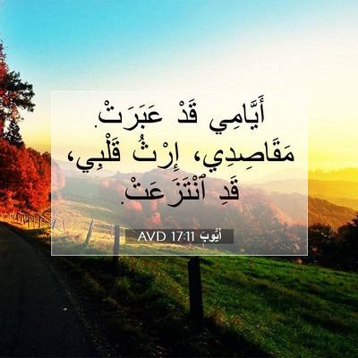Picture 07 - أَيُّوبَ 17:11 AVD - أَيَّامِي قَدْ عَبَرَتْ. - Bible Verse Picture