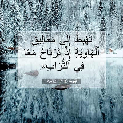 Picture 07 - أَيُّوبَ 17:16 AVD - تَهْبِطُ إِلَى مَغَالِيقِ - Bible Verse Picture