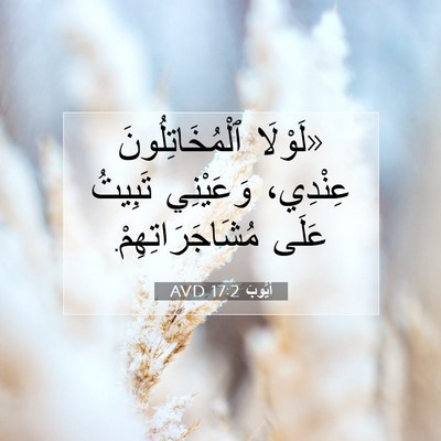 Picture 07 - أَيُّوبَ 17:2 AVD - «لَوْلَا ٱلْمُخَاتِلُونَ - Bible Verse Picture