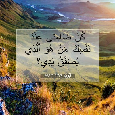 Picture 07 - أَيُّوبَ 17:3 AVD - كُنْ ضَامِنِي عِنْدَ - Bible Verse Picture